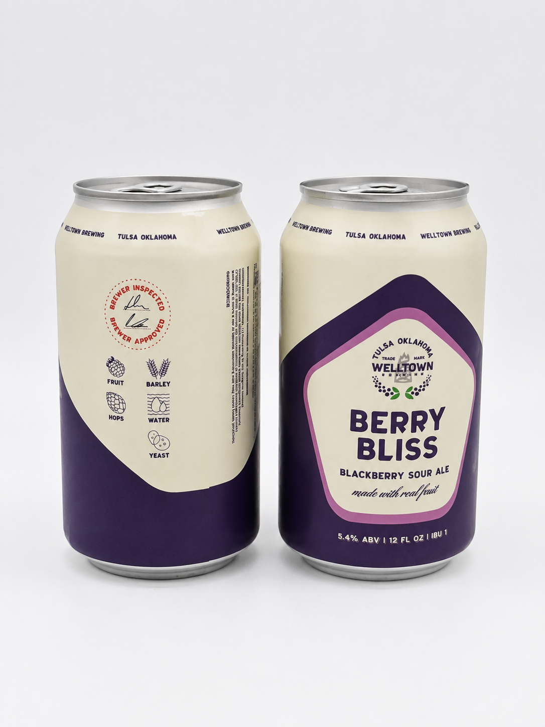 Welltown ‘Berry Bliss’ Blackberry Sour 6Pk
