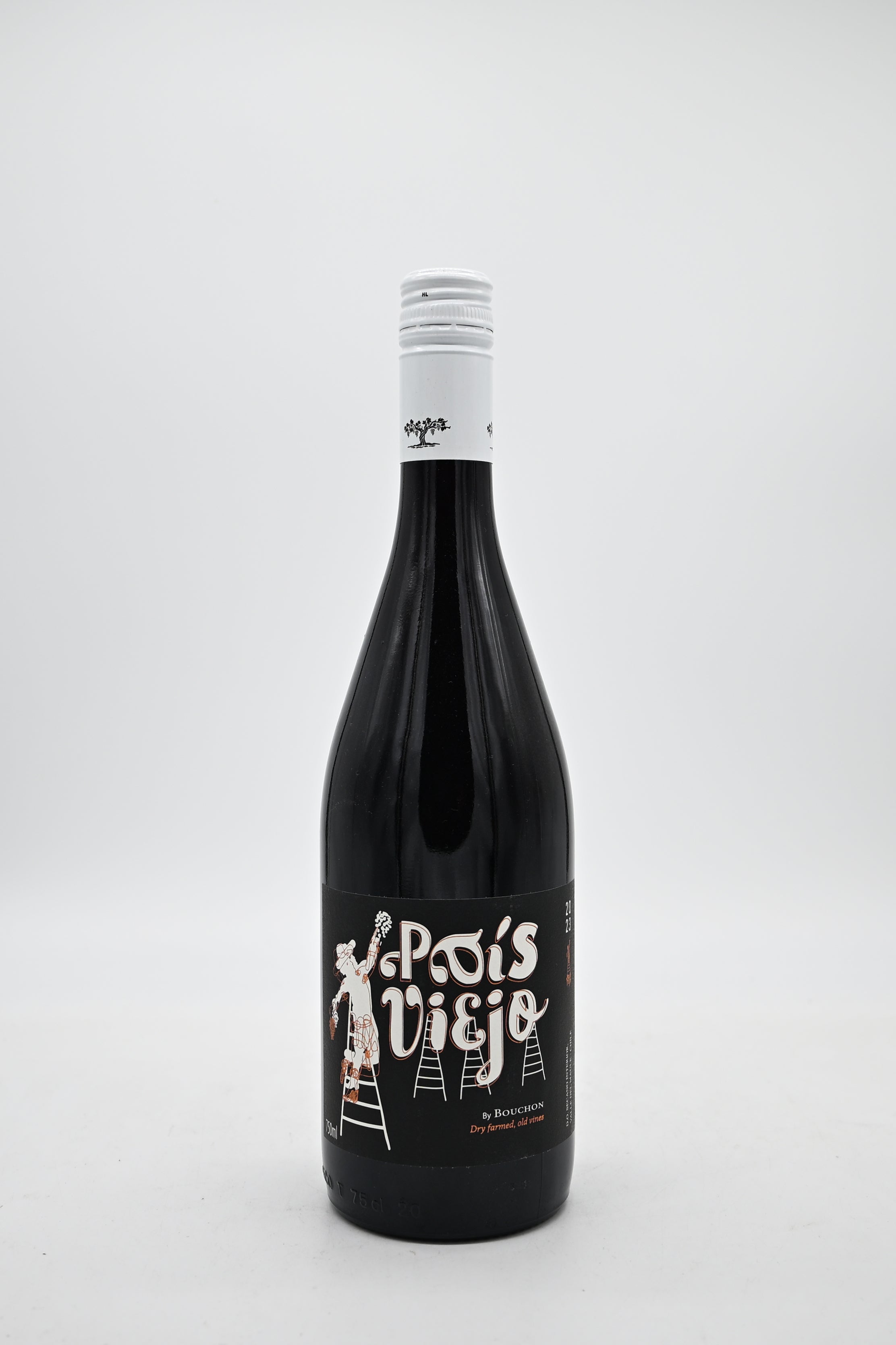 Avinyo Cava Brut Reserva