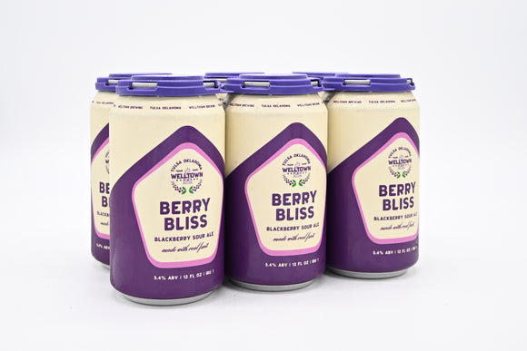 Welltown Brewing Berry Bliss Blackberry Sour 6-pack