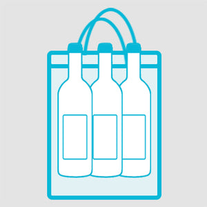 Gift Bag (2-3 bottles)
